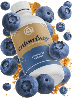 Blueberry Cookies