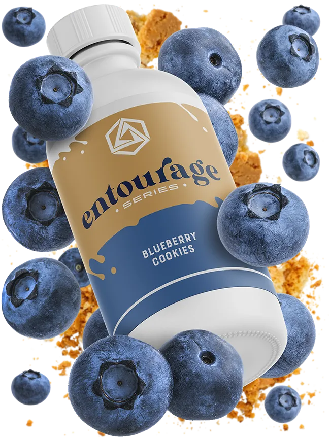 Blueberry Cookies