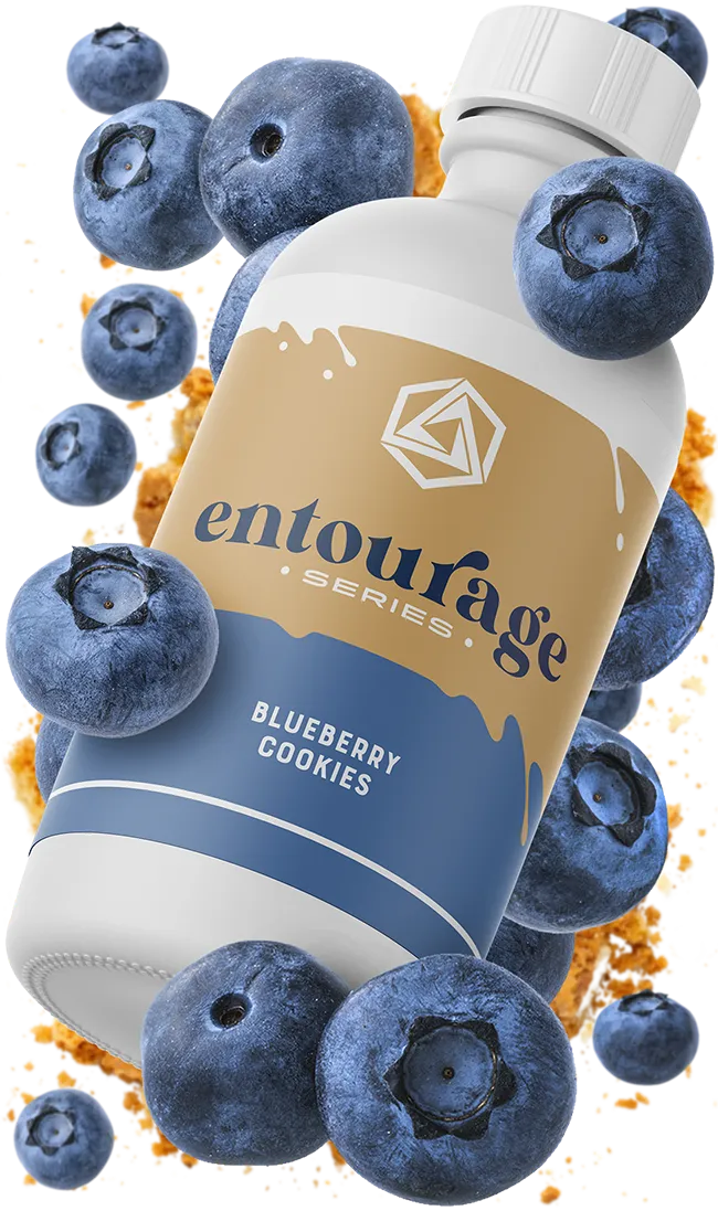 Blueberry Cookies