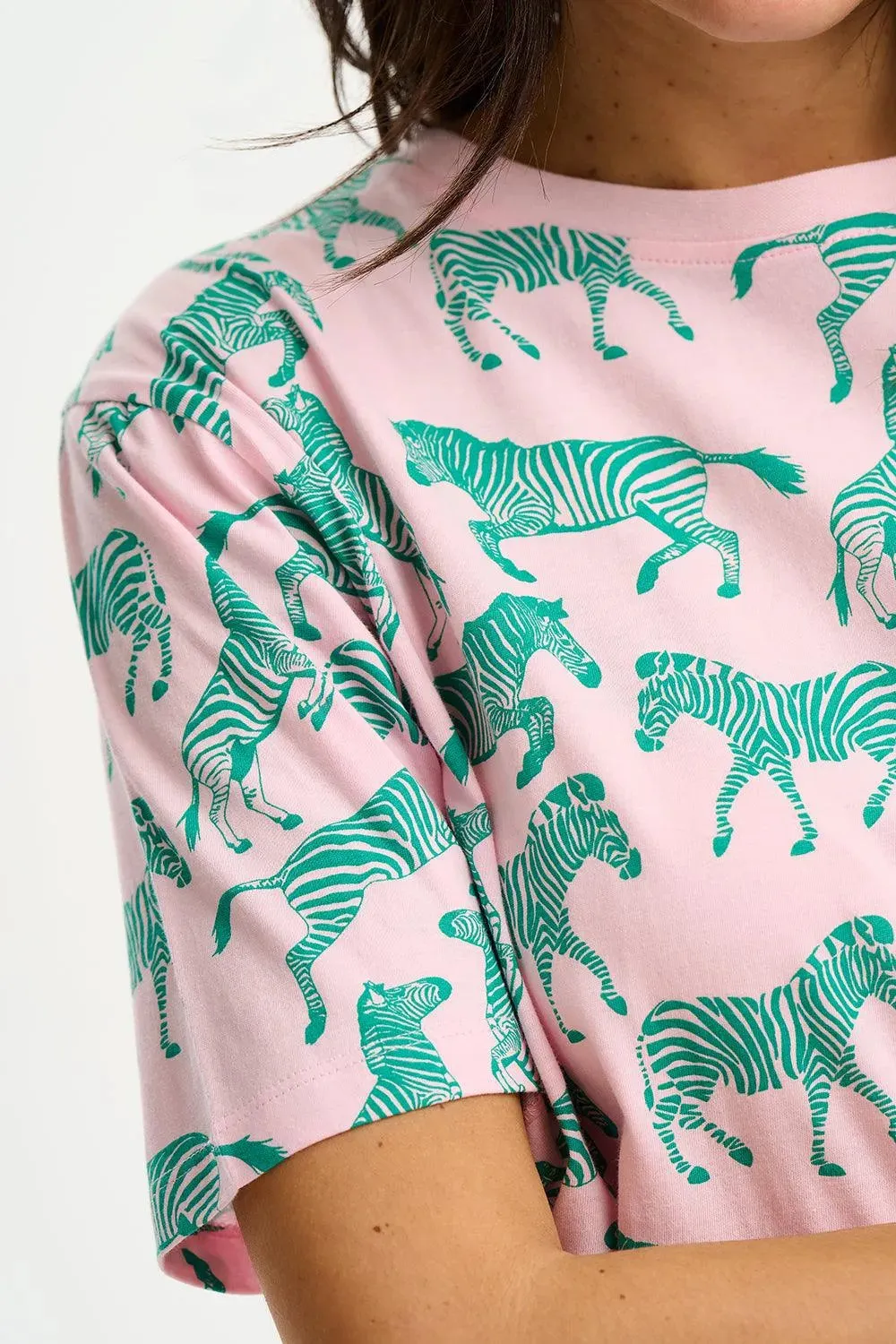 Camiseta Sugarhill Kinsley Relaxed Zebra Repeat