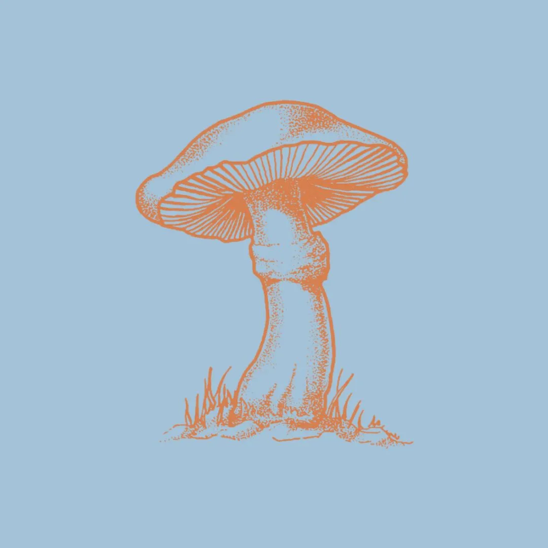 MAGIC MUSHROOMS S/S TEE