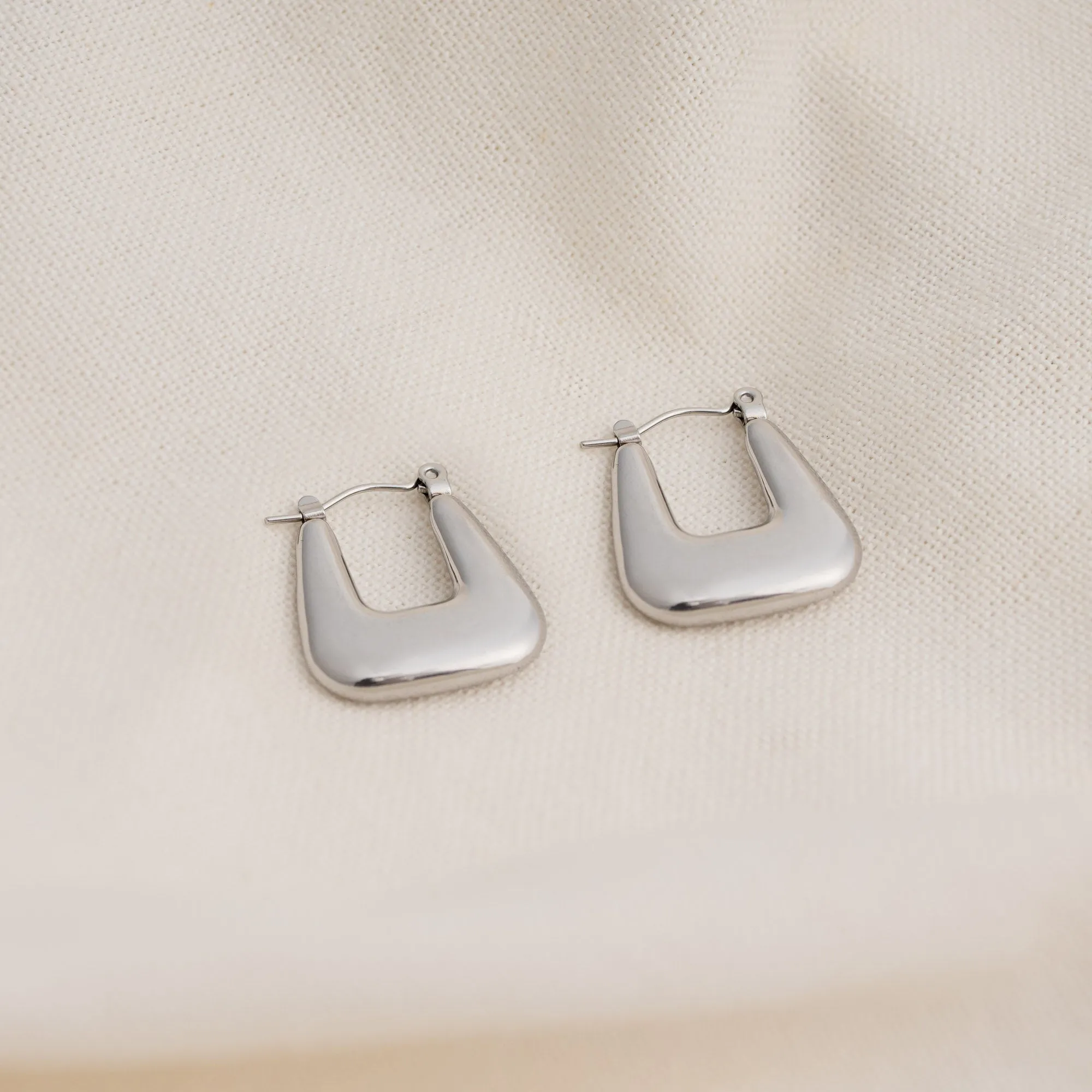 Nibia Earrings