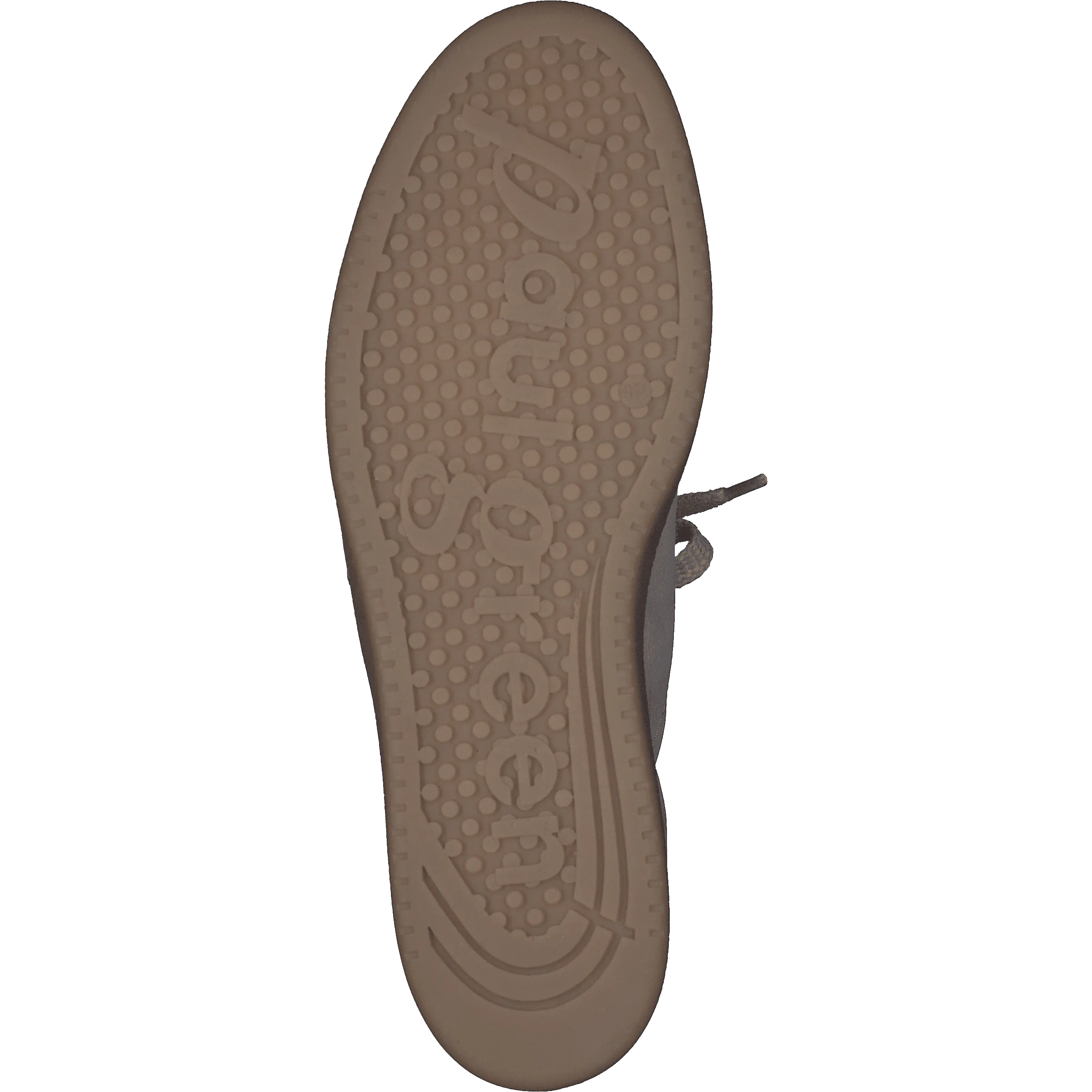 Paul Green 5364026- Trainer