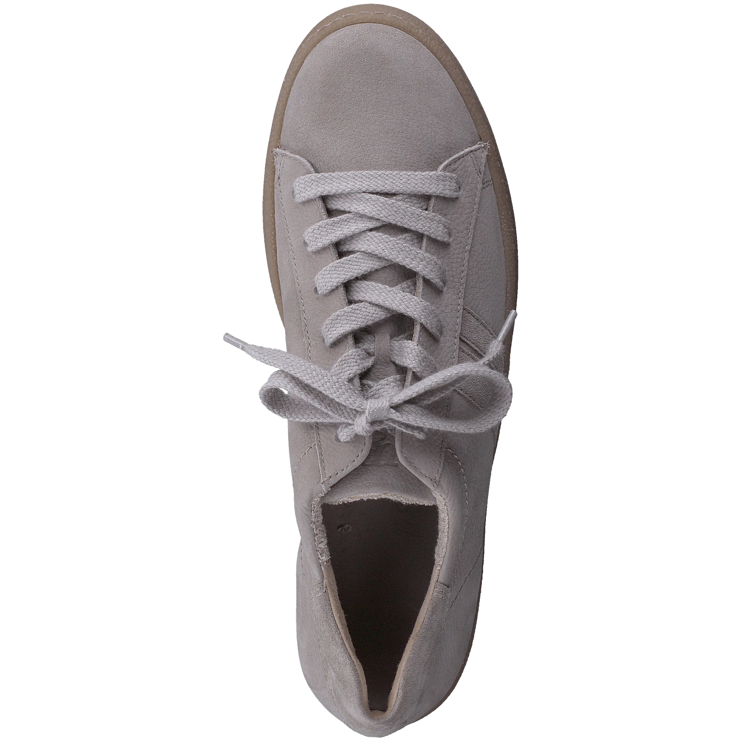 Paul Green 5364026- Trainer