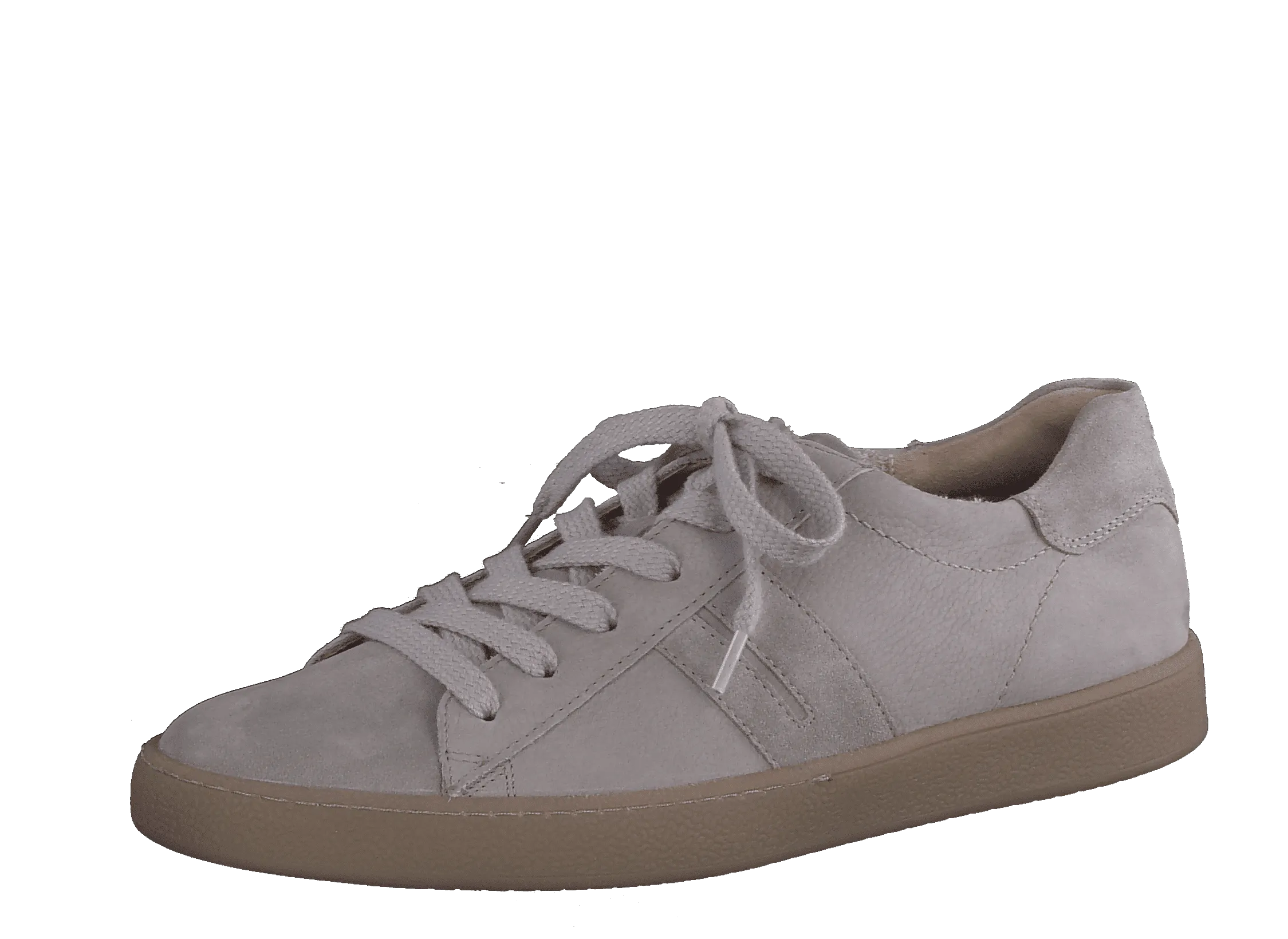 Paul Green 5364026- Trainer