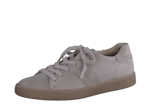 Paul Green 5364026- Trainer