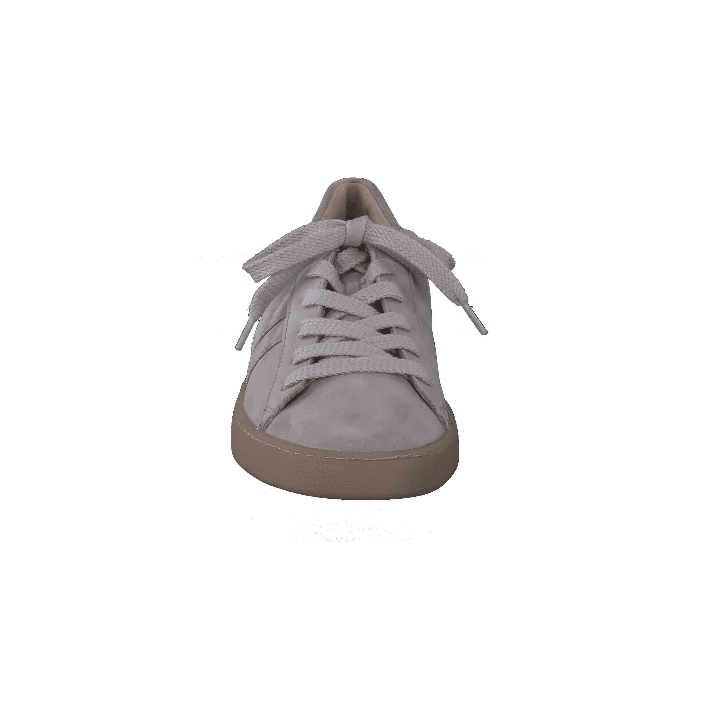 Paul Green 5364026- Trainer