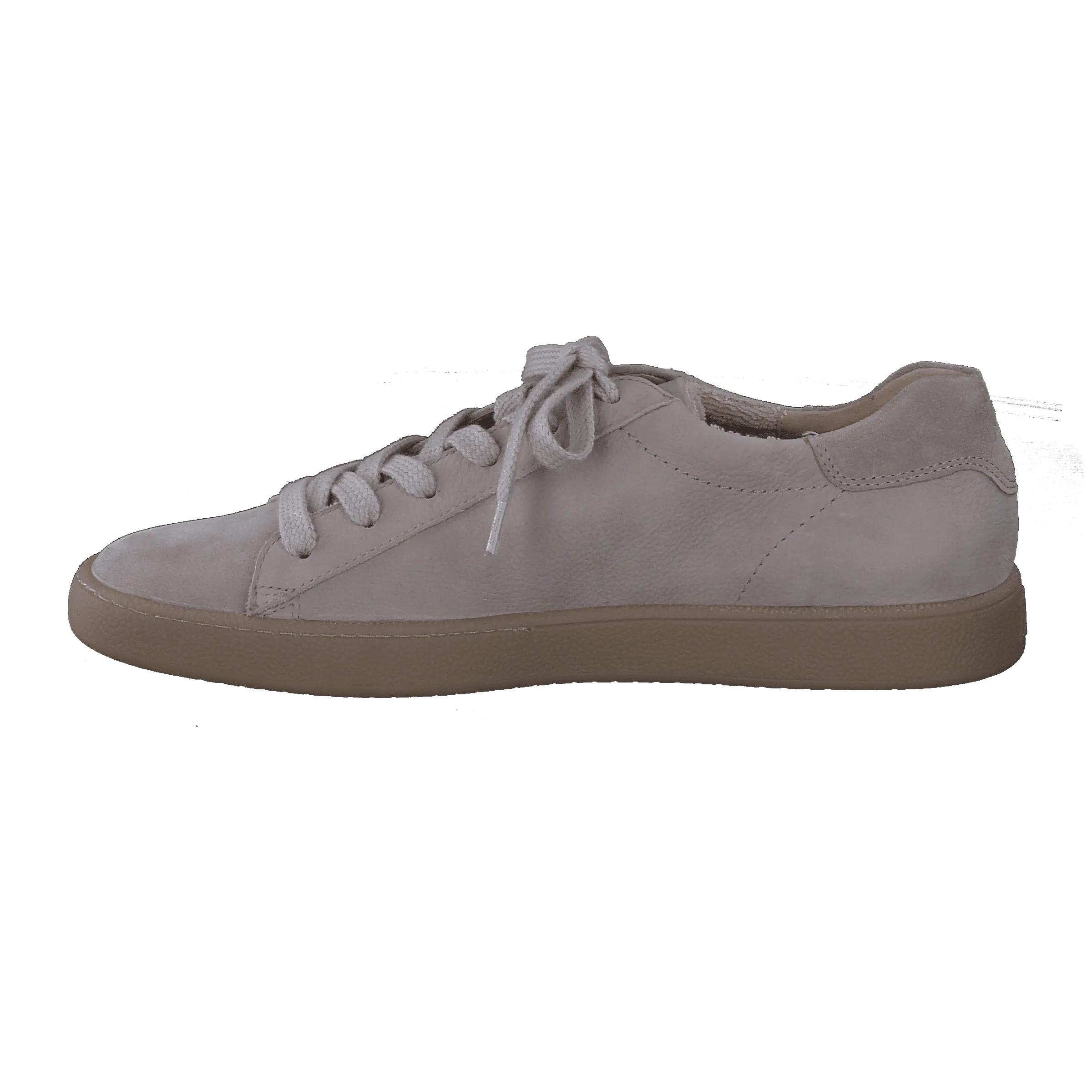 Paul Green 5364026- Trainer